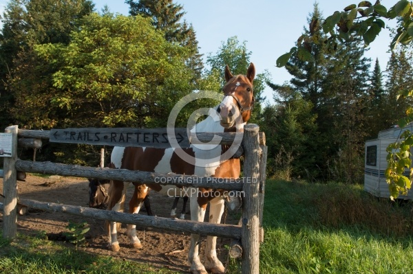 Corral at Horse Country Campground