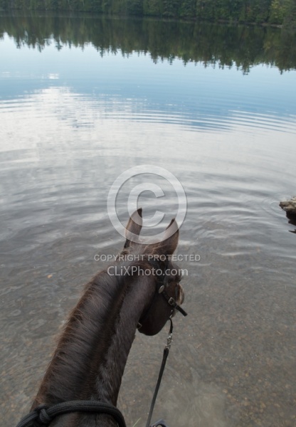 Voyageur Bay Horse Country Campground
