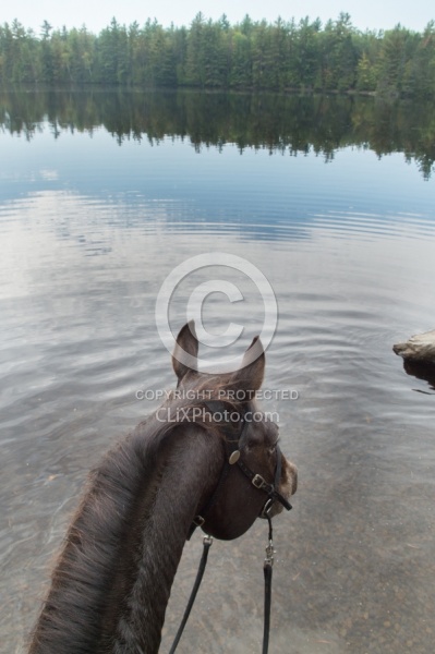 Voyageur Bay Horse Country Campground
