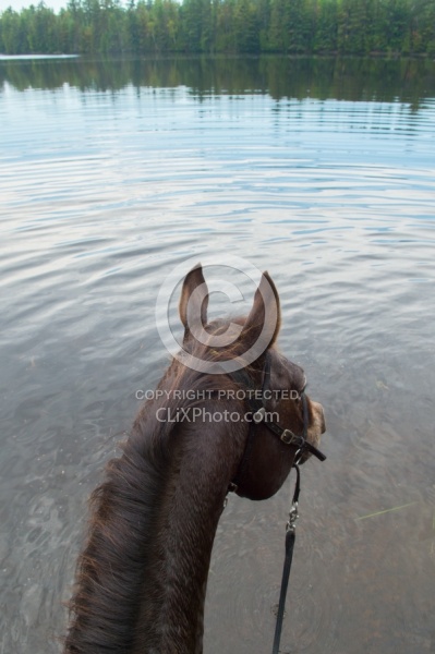 Voyageur Bay Horse Country Campground