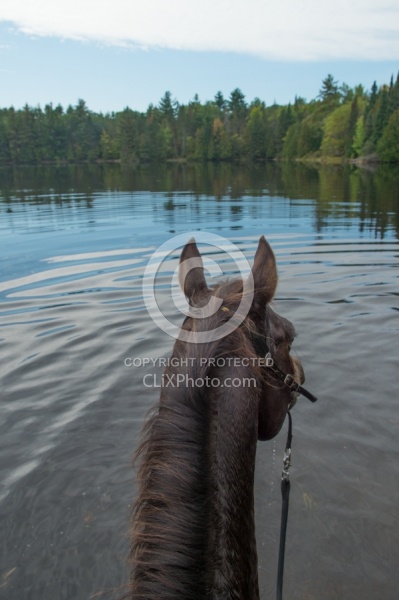Voyageur Bay Horse Country Campground