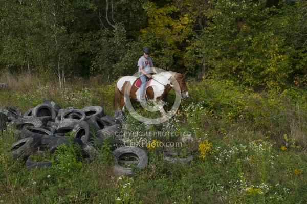 Joe and Major Checking out the Pile of Tires at Horse Country Ca