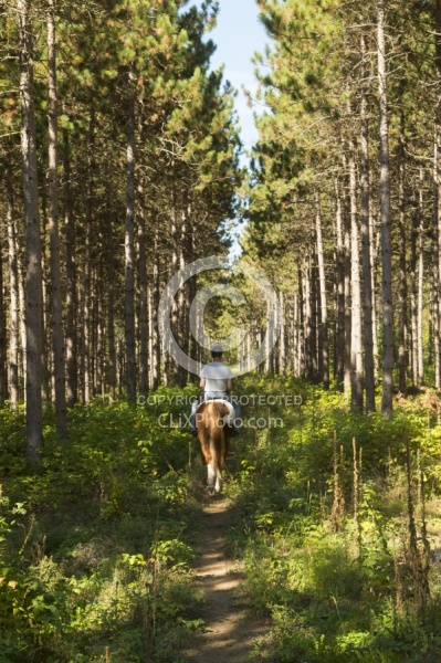 Joe and Major on River Run Trail off of Dittburner Rd