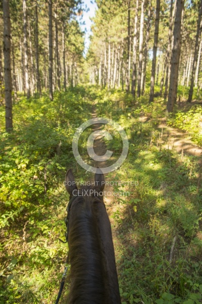 Bailey on River Run Trail at Horse Country Campground