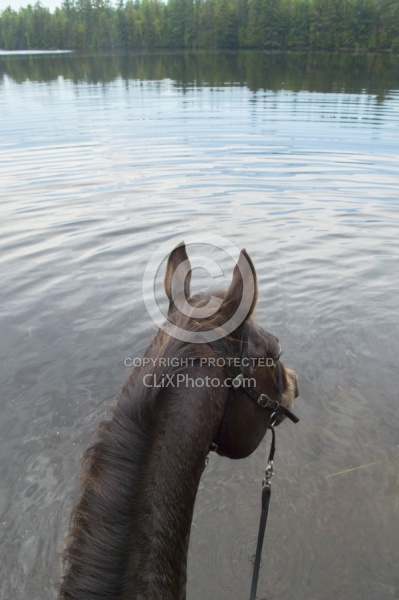The View of Voyageur Bay from Bailey Boy at Horse Country Campgr
