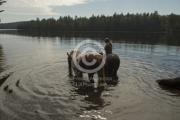 Shawn on Bailey Boy Leading Major into the Water at Voyaguer Bay