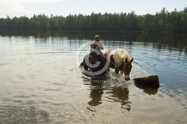 Shawn on Bailey Boy Leading Major into the Water at Voyaguer Bay