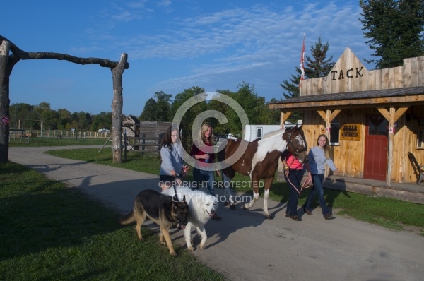 Campers out Walking at at Horse Country Campgrounds