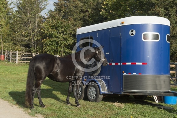 Flicka at Her Horse Trailer at Horse Country Campground