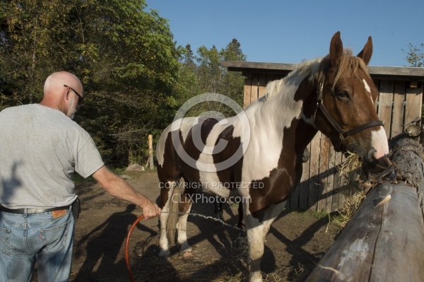 Joe Hoses Down Major at Horse Country Campground