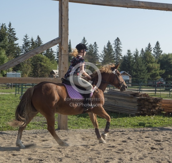 Campers at Horse Country Campgrounds Playng in the Sand Ring