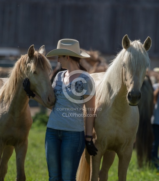 Mare and Foal with Owner