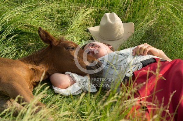 Rocky Mountain Foal Bonnie View Farm