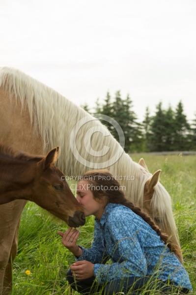 Rocky Mountain Foal, Bonnie View Farm