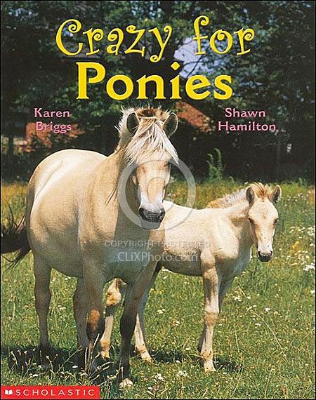 Crazy for Ponies