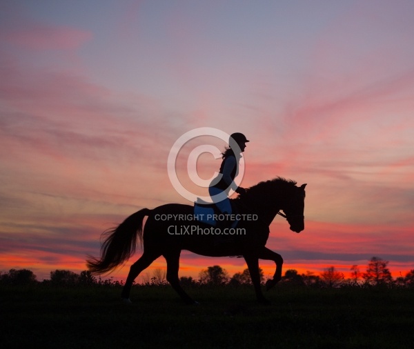 Silhouette of English Rider