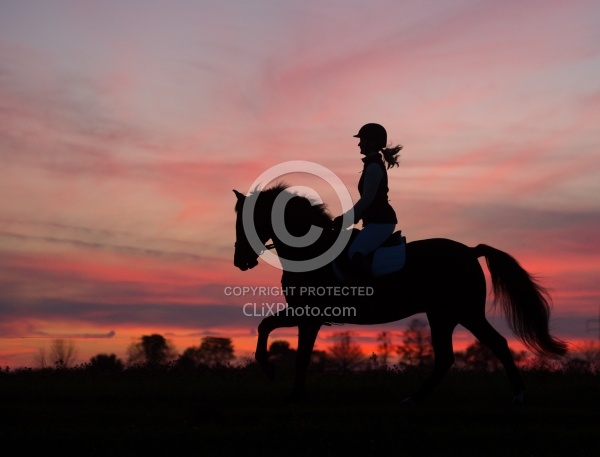 Silhouette of English Rider