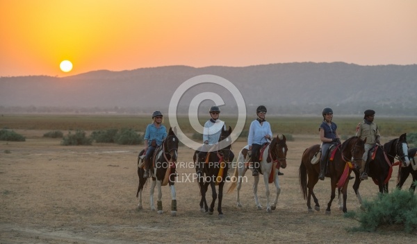 Sunset Ride in India
