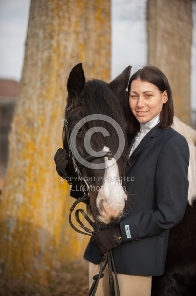 Mystical Meadows Gypsy Vanners Gypsy Vanner