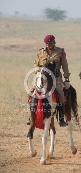 Bonnie of Dundlod Marwaris