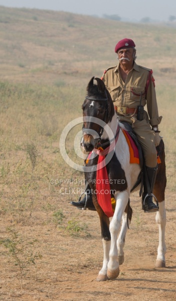 Bonnie of Dundlod Marwaris