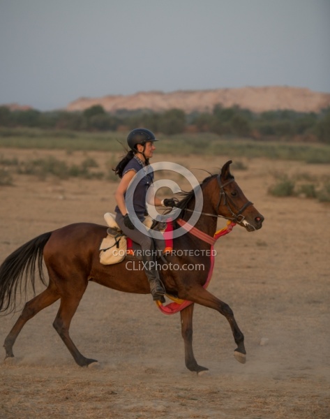 On the Trails in India