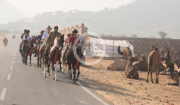 Riding Through The Pushkar Camel Fair