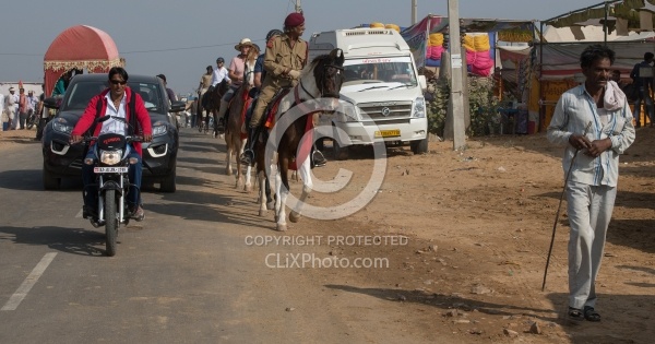 Riding Through The Pushkar Camel Fair
