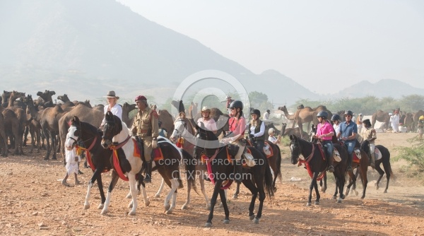 Riding Through The Pushkar Camel Fair