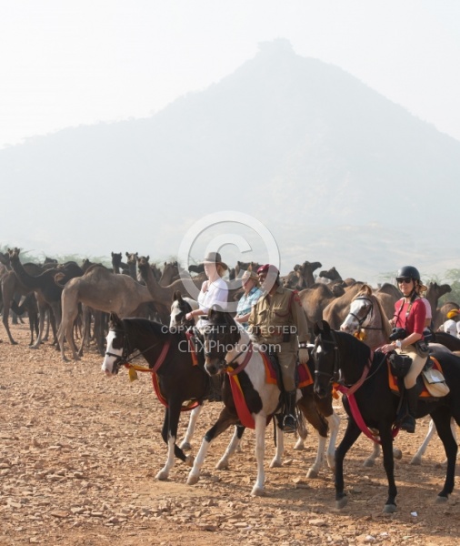 Riding Through The Pushkar Camel Fair
