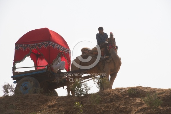The Camel Festival in Pushkar