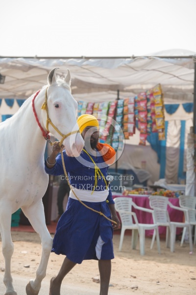 The Camel Festival in Pushkar