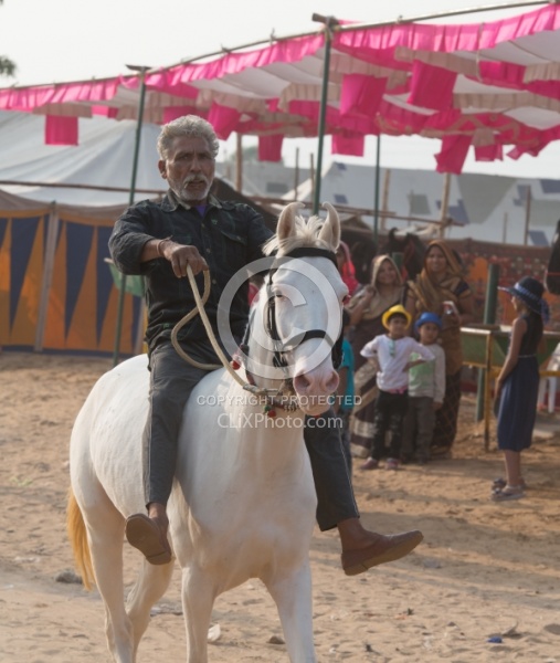 The Camel Festival in Pushkar