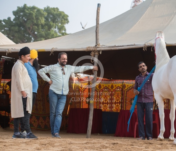 The Camel Festival in Pushkar