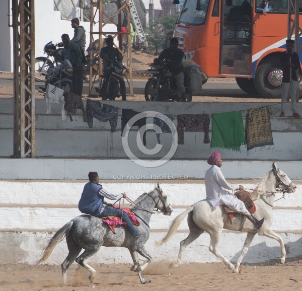 The Camel Festival in Pushkar
