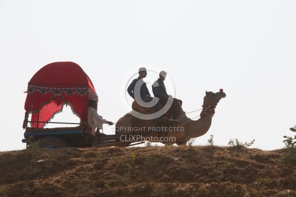 The Camel Festival in Pushkar