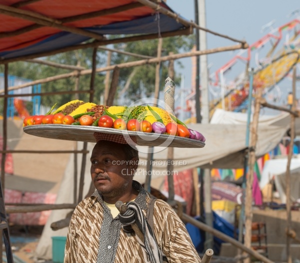 The Camel Festival in Pushkar
