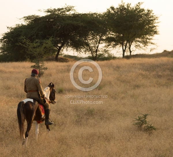 On the Trails in India