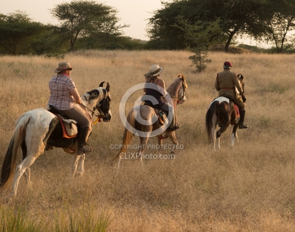 On the Trails in India