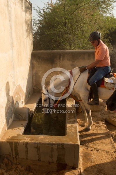 On the Trails in India