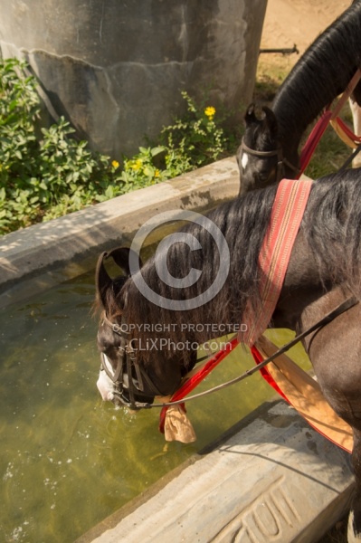 Riding Through Villages on India Ride