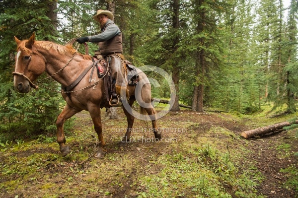 Hauling Firewood Pulling Collar
