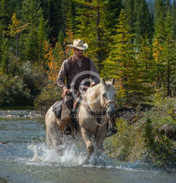 River Crossing Pulling Collar