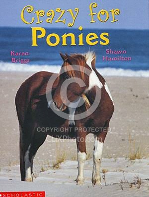 Crazy for Ponies - US Version