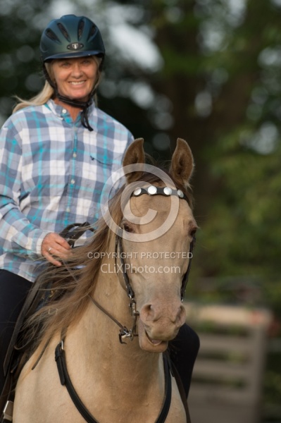 Tennessee Walker Portrait