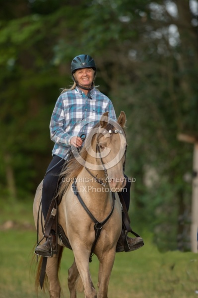 Tennessee Walker Under Saddle