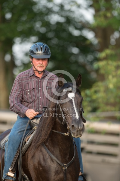 Tennessee Walker Under Saddle