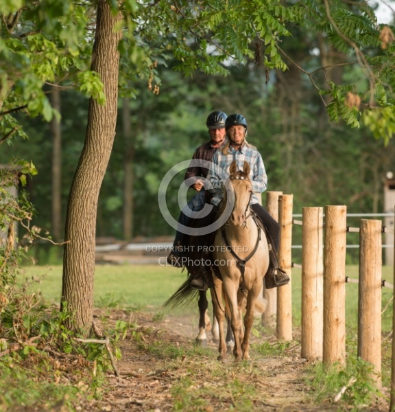 Tennessee Walker Under Saddle