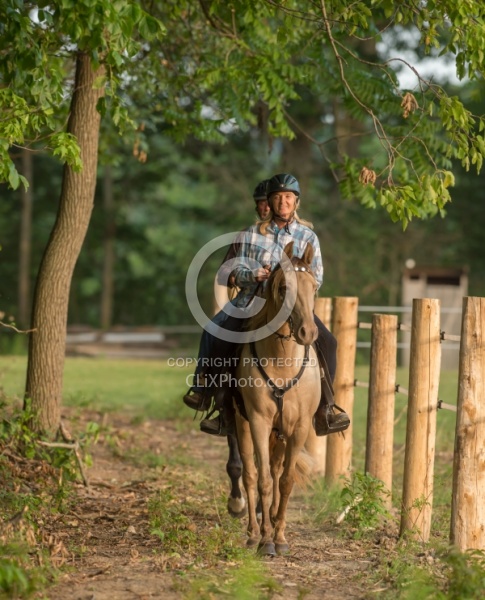 Tennessee Walker Under Saddle