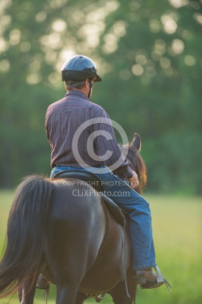 Tennessee Walker Under Saddle